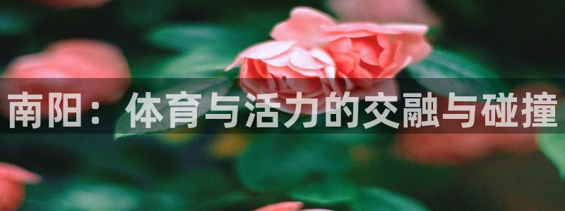 JJB竞技宝官方正版app娱乐40996:南阳:体育与活力的