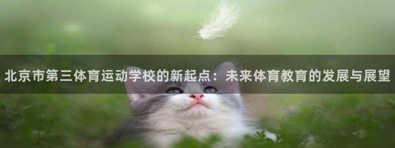 JJB竞技宝官方正版app集团E.ON:北京市第三体育运动学