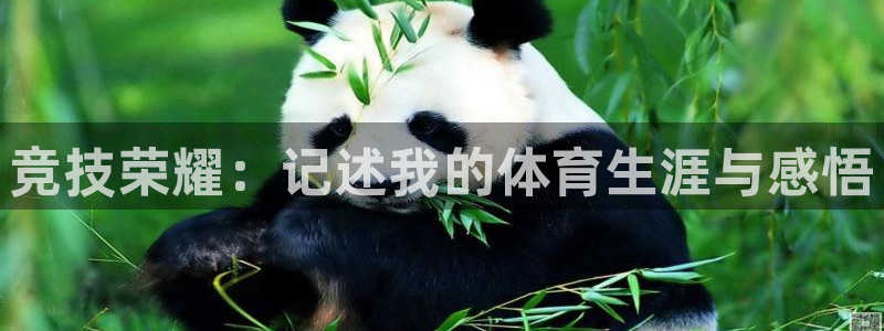 JJB竞技宝官网下载招商电话是多少:竞技荣耀:记述我的体育生