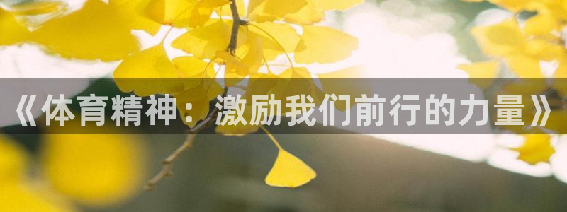 JJB竞技宝官网下载平台注册流程图:《体育精神:激励我们前行